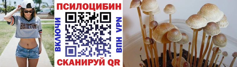 Галлюциногенные грибы Cubensis  Купить  Пустошка 